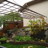 Steel fabricated garden trellis